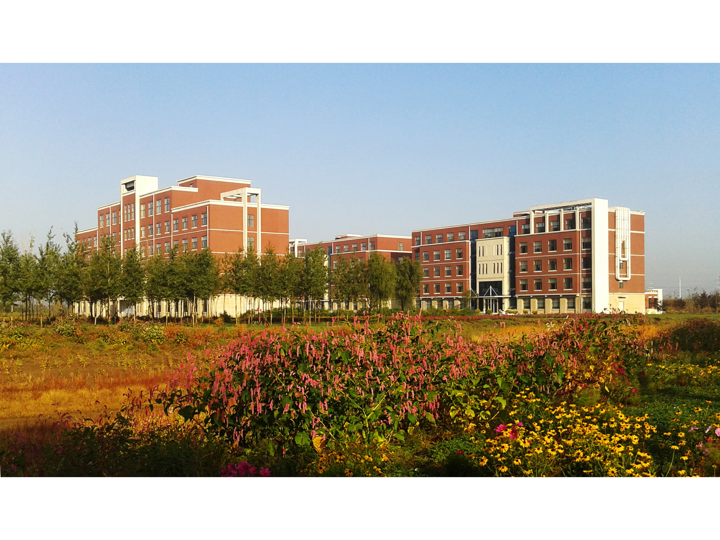 秋景（地理綜合樓、環(huán)境實(shí)驗(yàn)樓、濕地實(shí)驗(yàn)樓）